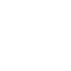 Ghost - Social Icon VK