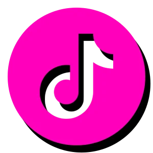 Aesthetic - Social Icon TikTok