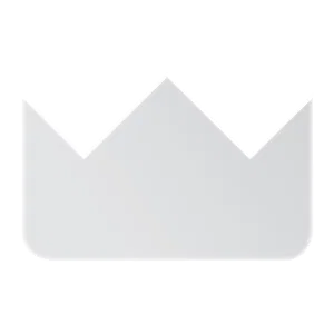 Anthracite - Alert Icon Prime-Sub