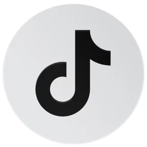 Anthracite - Social Icon TikTok