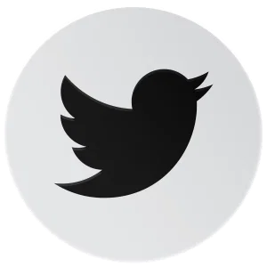 Anthracite - Social Icon Twitter