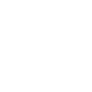 Artic - Social Icon BattleNet