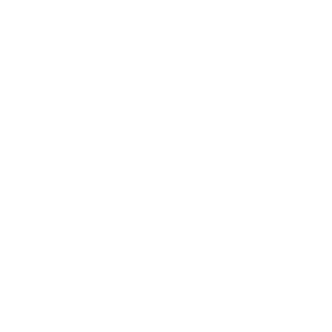 Artic - Social Icon Twitter