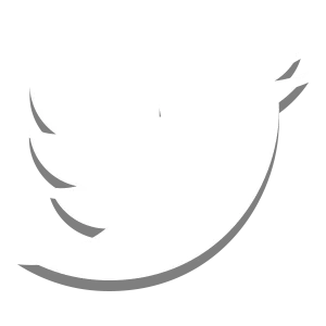 Creative - Social Icon Twitter