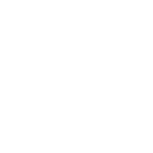 CS - Social Icon Twitter