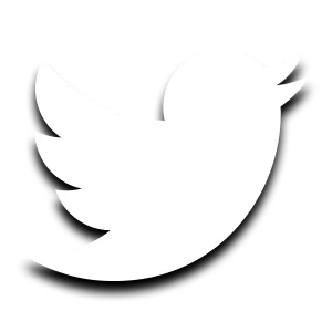 Galaxy - Social Icon Twitter