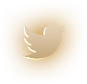Golden Glory - Social Icon Twitter