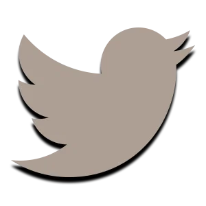 MMORPG - Social Icon Twitter