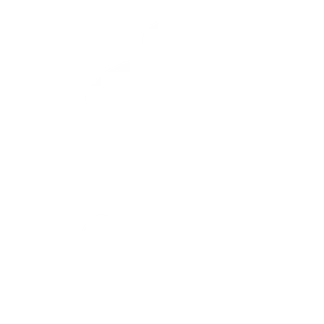 New Year - Alert Icon Donation