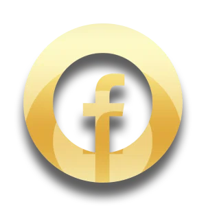 Onyx - Social Icon Facebook