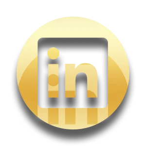 Onyx - Social Icon Linkedin