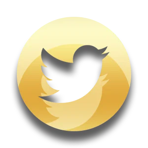 Onyx - Social Icon Twitter