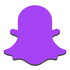 Organic - Social Icon Snapchat