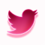 Pinkit - Social Icon Twitter