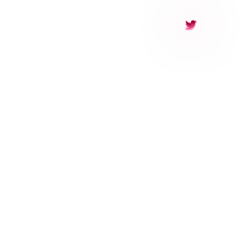 Pinkit - Social Icon Twitter