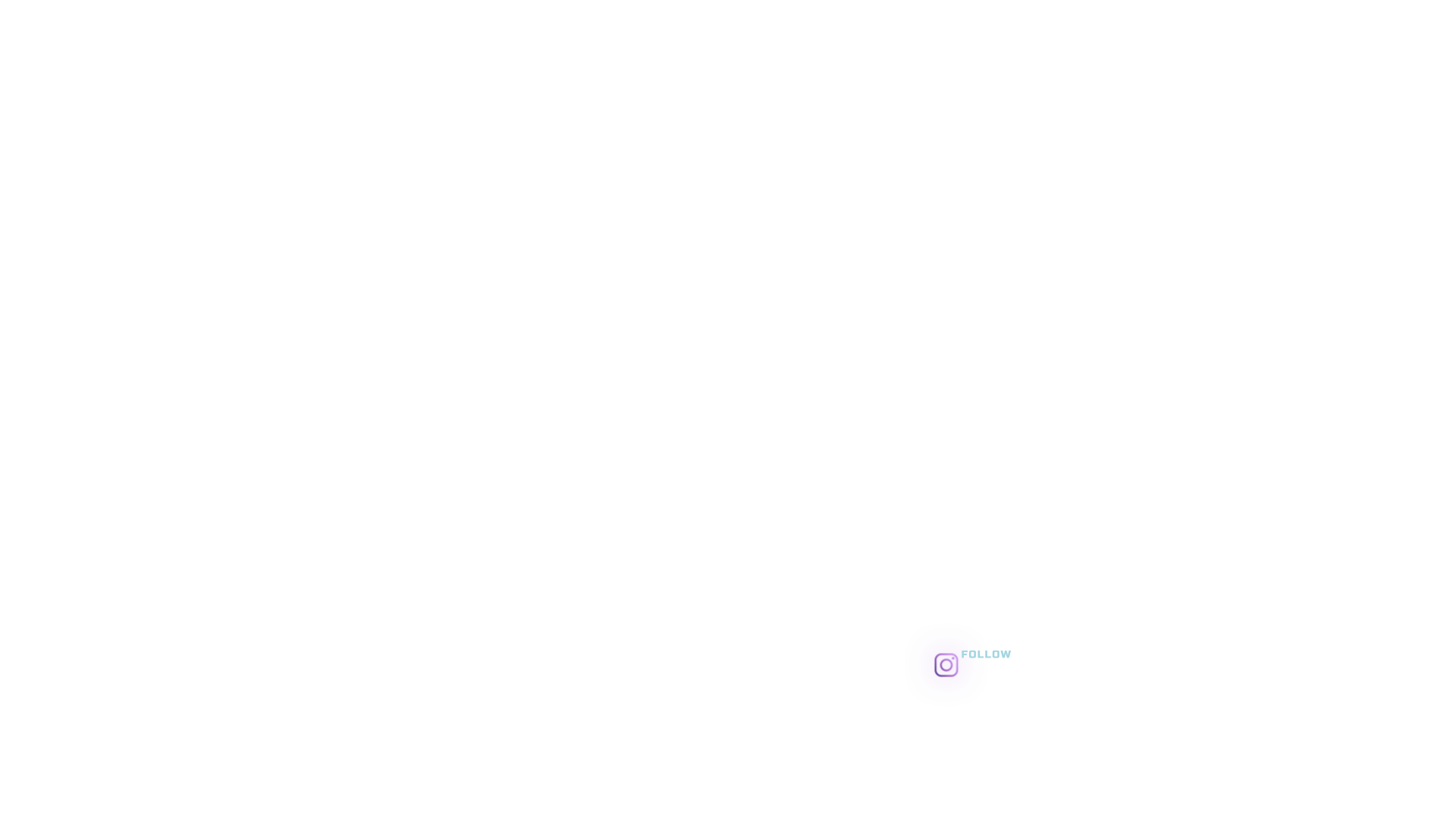 Purplex - Social Icon Instagram