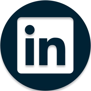 Snow - Social Icon Linkedin