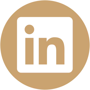 Swain - Social Icon Linkedin