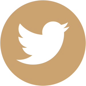 Swain - Social Icon Twitter