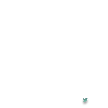TheMove - Social Icon Twitter