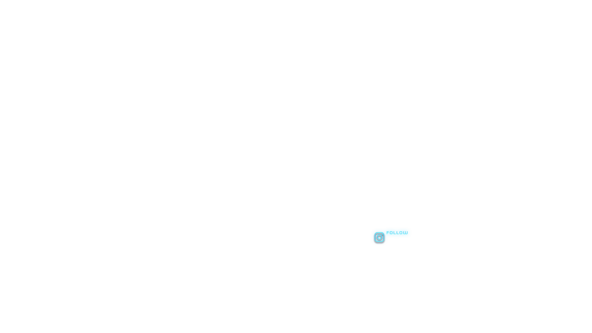 Trivision - Social Icon Instagram