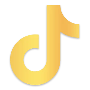 Xmas - Social Icon TikTok