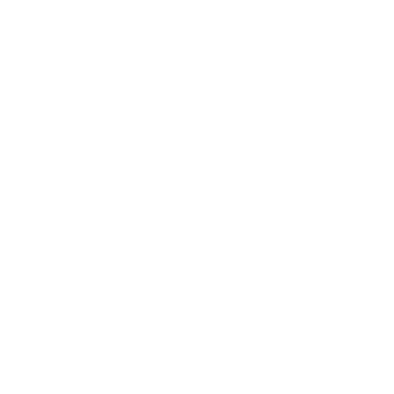 Brush - Social Icon Twitter