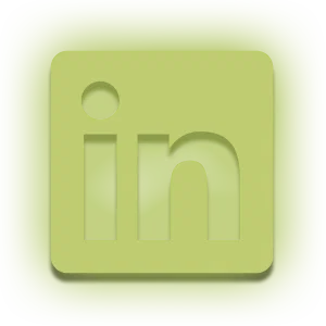 Army - Social Icon Linkedin