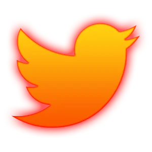 Duty - Social Icon Twitter