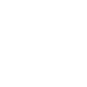 Guardian - Social Icon Playstation
