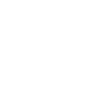 Guardian - Social Icon Rockstar