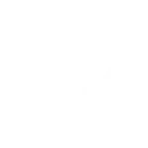 Hexagon - Social Icon VK