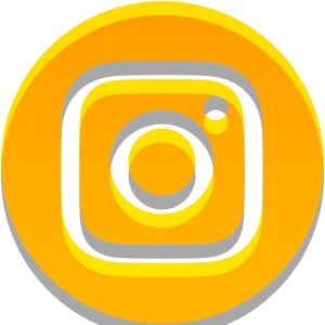 Intensive - Social Icon Instagram