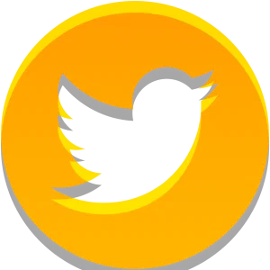 Intensive - Social Icon Twitter