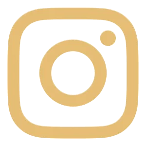 LoL - Social Icon Instagram