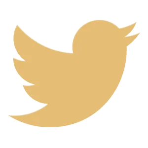 LoL - Social Icon Twitter