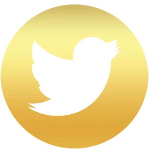 Mana - Social Icon Twitter