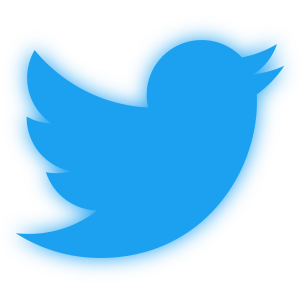 Miaminights - Social Icon Twitter
