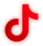 NinjaParty - Social Icon TikTok