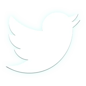 Reactor - Social Icon Twitter
