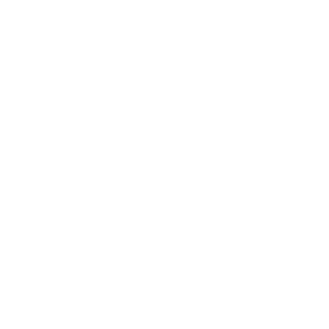 Frost - Social Icon Instagram