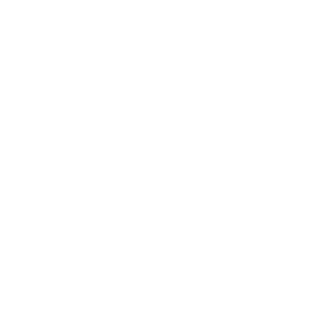 Frost - Social Icon Nintendo