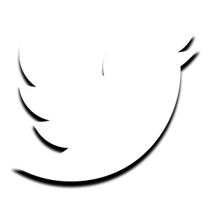 Gradient - Social Icon Twitter