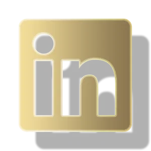 Heavy - Social Icon Linkedin