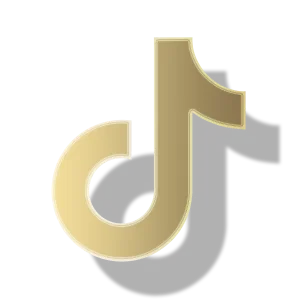 Heavy - Social Icon TikTok