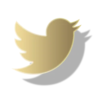 Heavy - Social Icon Twitter