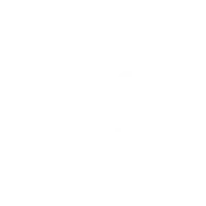 Inspire - Social Icon Facebook