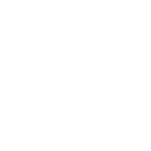 Inspire - Social Icon Instagram