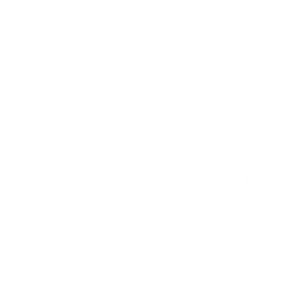 Inspire - Social Icon Nintendo