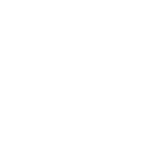 Inspire - Social Icon Snapchat
